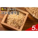 令和8年産 特別栽培米 コシヒカリ 玄米 5kg