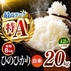 R8年産 白米 ひのひかり 20kg