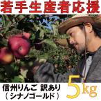 訳あり りんご 5kg