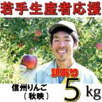訳あり りんご 5kg