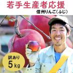 訳あり りんご 5kg