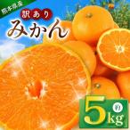 訳あり みかん 約5kg