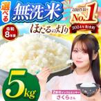 ふるさと納税 【 新米 予約 】 令和8年産 熊本県産 ほたるの灯り 無洗米 5kg | 選べる 銘柄 ほたるの灯り 森のくまさん 容量 5kg 10kg 15kg 20kg.. 熊本県和水町