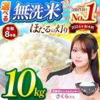 ふるさと納税 【 新米 予約 】 令和8年産 熊本県産 ほたるの灯り 無洗米 10kg | 選べる 銘柄 ほたるの灯り 森のくまさん 容量 5kg 10kg 15kg 20k.. 熊本県和水町