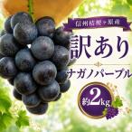 訳あり 信州桔梗ヶ原産 ナガノパープル 約2kg