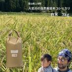 米 大岩川の自然栽培米 亀の尾 白米 3kg