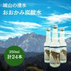 炭酸水 おおかみ炭酸水 250ml×24本