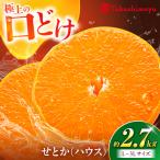 みかん せとか ハウス 約2.7kg