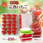 いちご 完熟 2パック なごみジャム 6個 セット