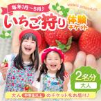 いちご狩り体験ペアチケット 大人2名