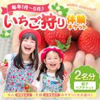 いちご狩り体験ペアチケット 大人1名 小人1名