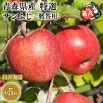 りんご 特選 サンふじ5kg