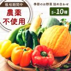 野菜 季節の野菜詰め合わせ