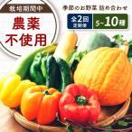 野菜 季節の野菜詰め合わせ