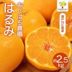 はるみ 2.5kg