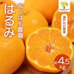 はるみ 4.5kg