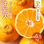 不知火 しらぬい 4.5kg