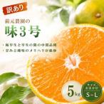 みかん 訳あり 前元農園の味3号 5kg
