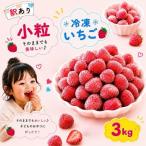 小粒 完熟 急速 冷凍いちご 3kg