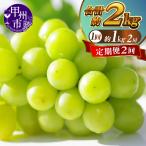 新鮮産直 シャインマスカット2回定期便