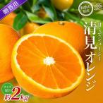 森本農園の手選別 清見オレンジ 約2kg