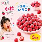 小粒 完熟 急速 冷凍いちご 5kg