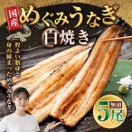 めぐみうなぎ 蒲焼き 5尾セットうなぎ 鰻