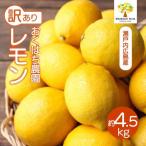 〈訳あり〉レモン 4.5kg