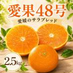 愛果48号 約2.5kg