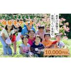 参加券 アルプス子ども会 50000円