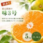 みかん 訳あり 前元農園の味3号 5kg