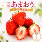 いちご 完熟いちご あまおう 280g×4パック