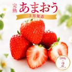 農家直送 あまおう いちご 280g×2P