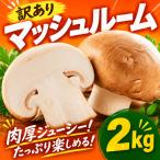 fu.... налог гриб есть перевод 2kg [ гриб ]| YMM001 Chiba префектура . брать город 