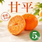 甘平 約5kg