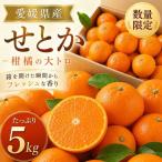 せとか 約5kg