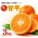 訳あり 甘平 3kg
