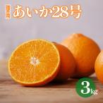 愛果28号 紅まどんな と同品種 約3kg