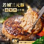若楠三元豚ハンバーグ 120g×4個