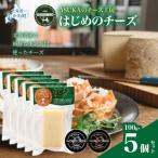 はじめのチーズ 100g
