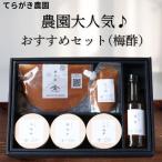 てらがき農園 農園大 梅酢セット 梅干し 梅干 うめぼし 詰め合わせ