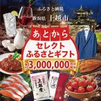 あとからセレクトふるさと 寄附3,000,000円相当