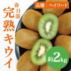 春日部完熟キウイ2kg BG004
