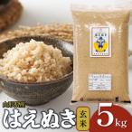 はえぬき 玄米 5kg