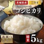 令和7年産 産コシヒカリ一等米 精米5kg