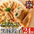 a1112 鹿児島黒豚 短鼻豚 無添加餃子 計24個