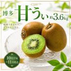 博多キウイ 3.6kg