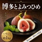 いちじく 博多とよみつひめ 約1kg