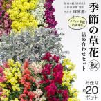 メディア出演多数のプロが厳選 季節の草花