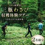 三瓶わさび 収穫体験ツアー 2名様分